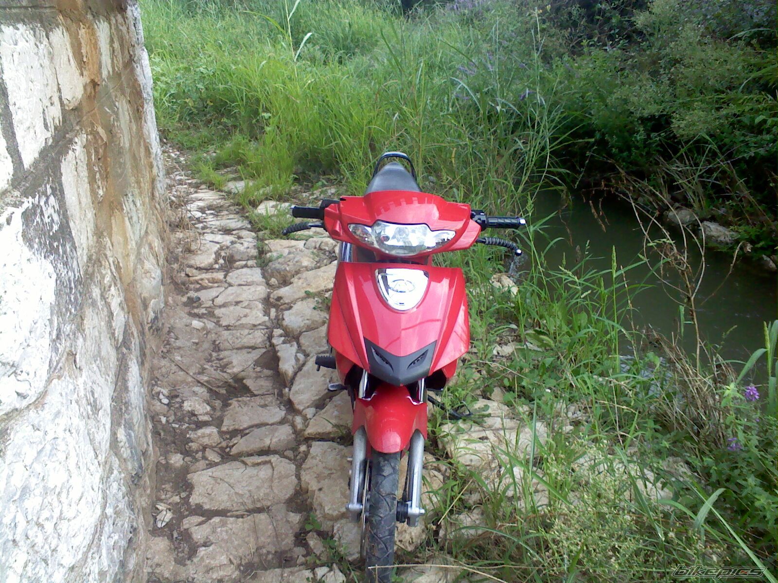Photo 1877984