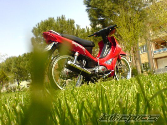 Bike Photo 1877999