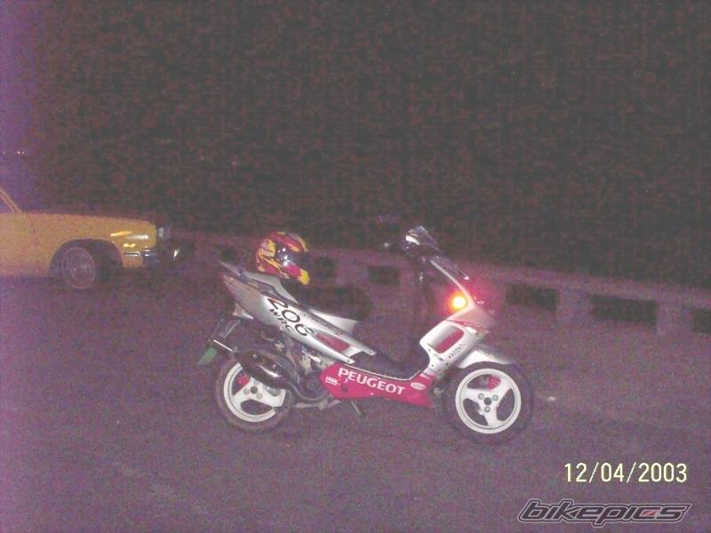 Photo 187818