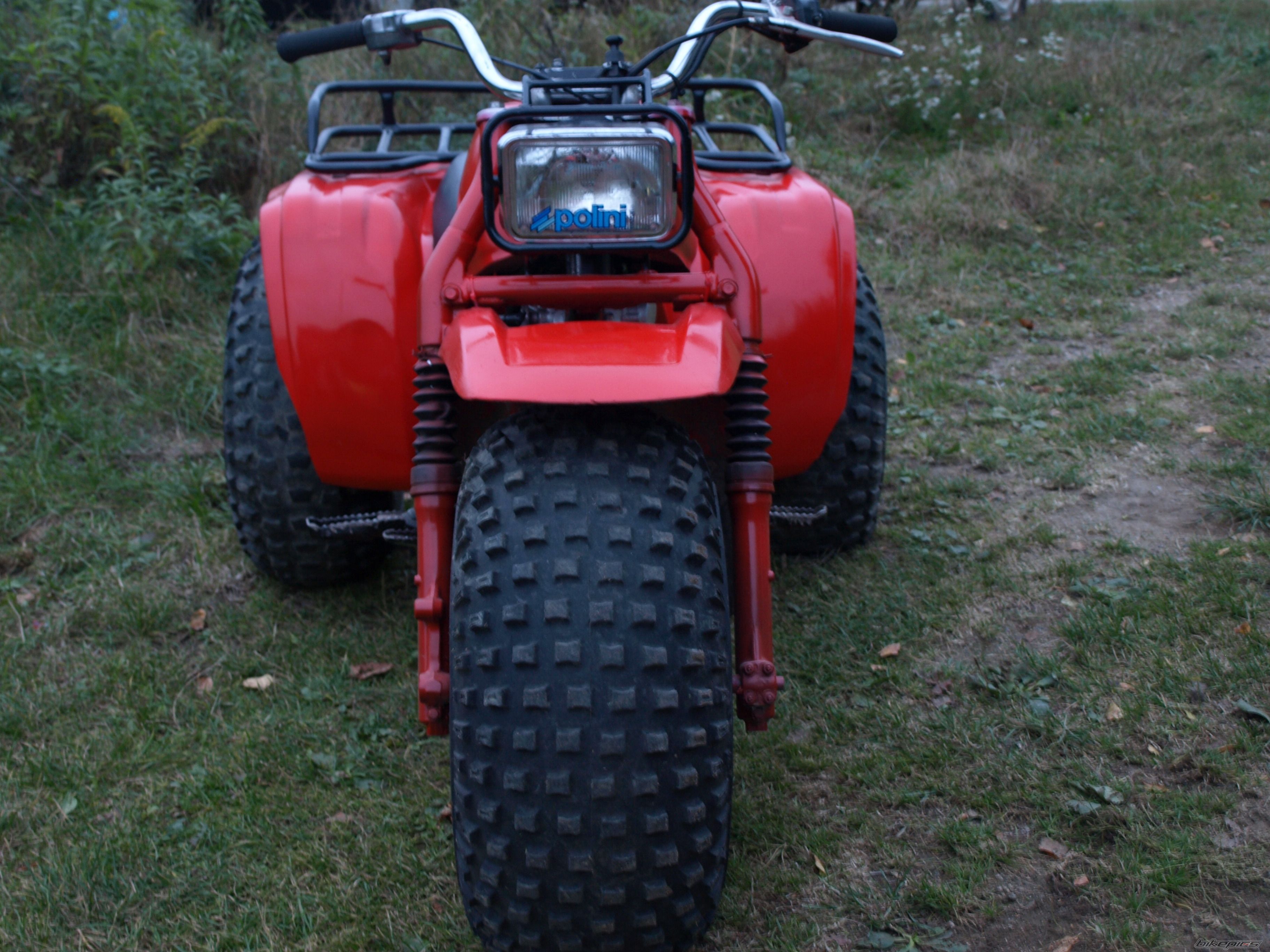 Photo 1878299