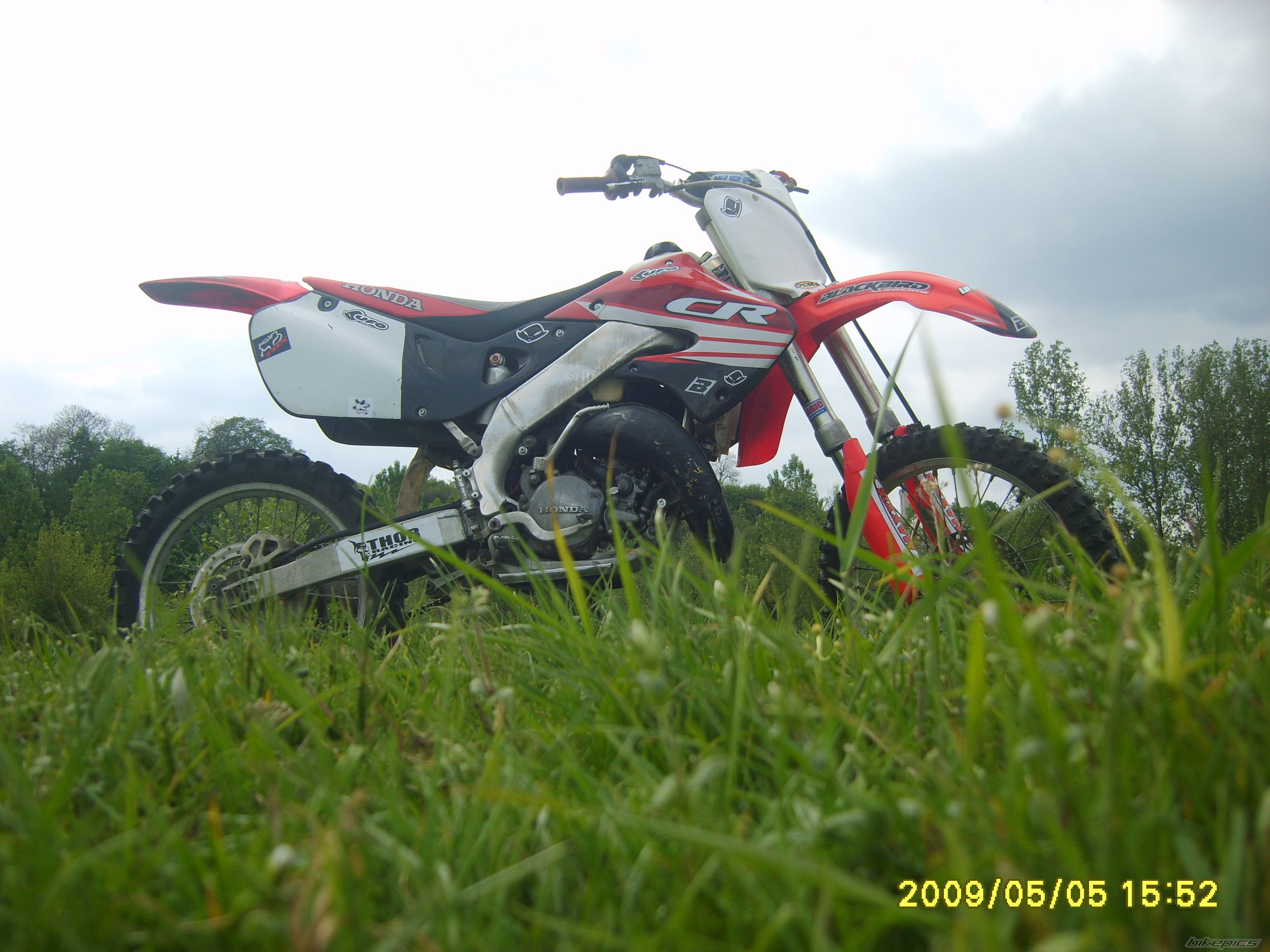 Photo 1878545