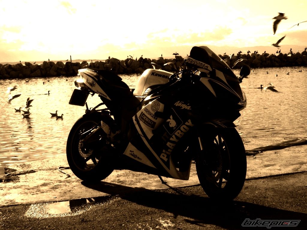 Bike Photo 1878691