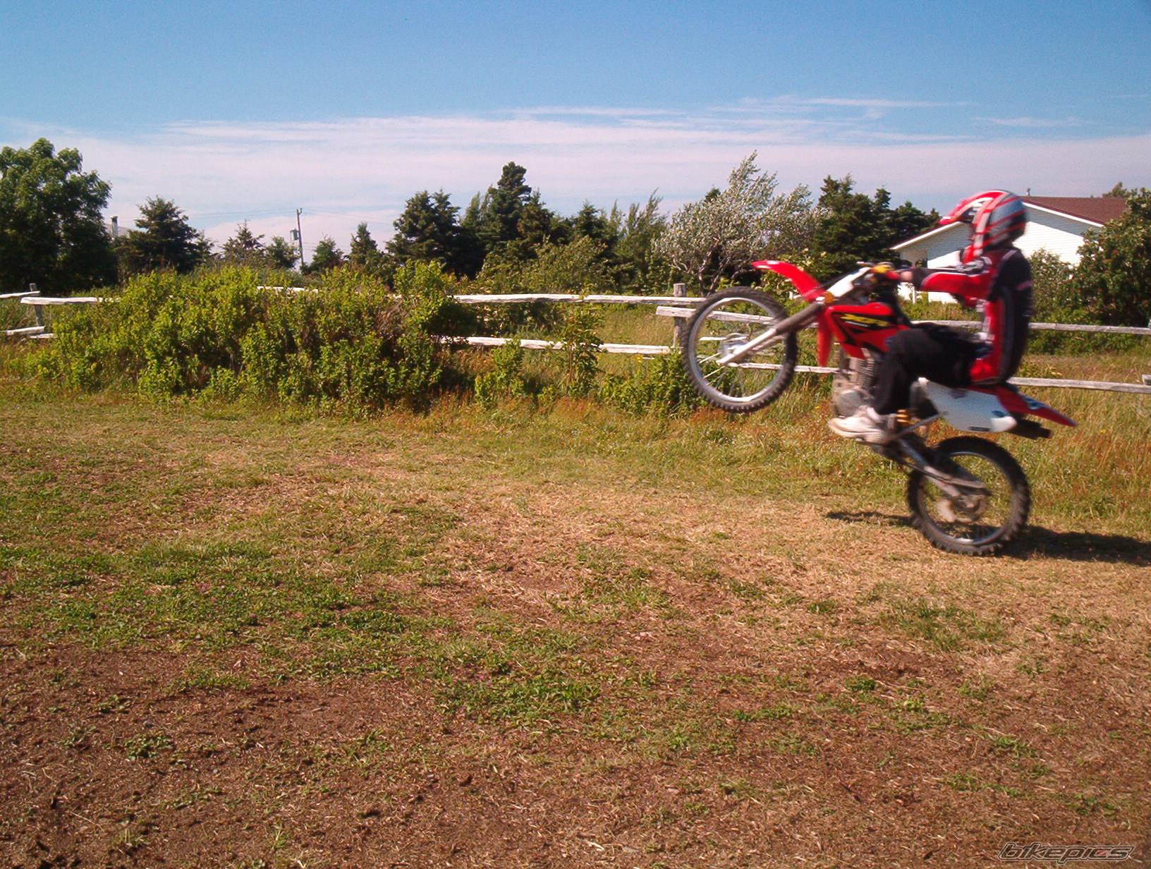 Photo 187871