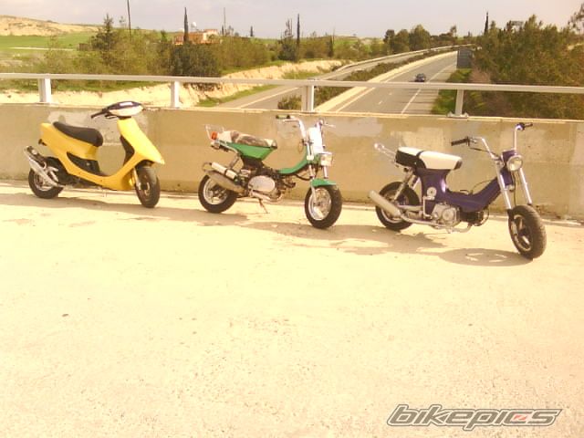 Photo 1878757