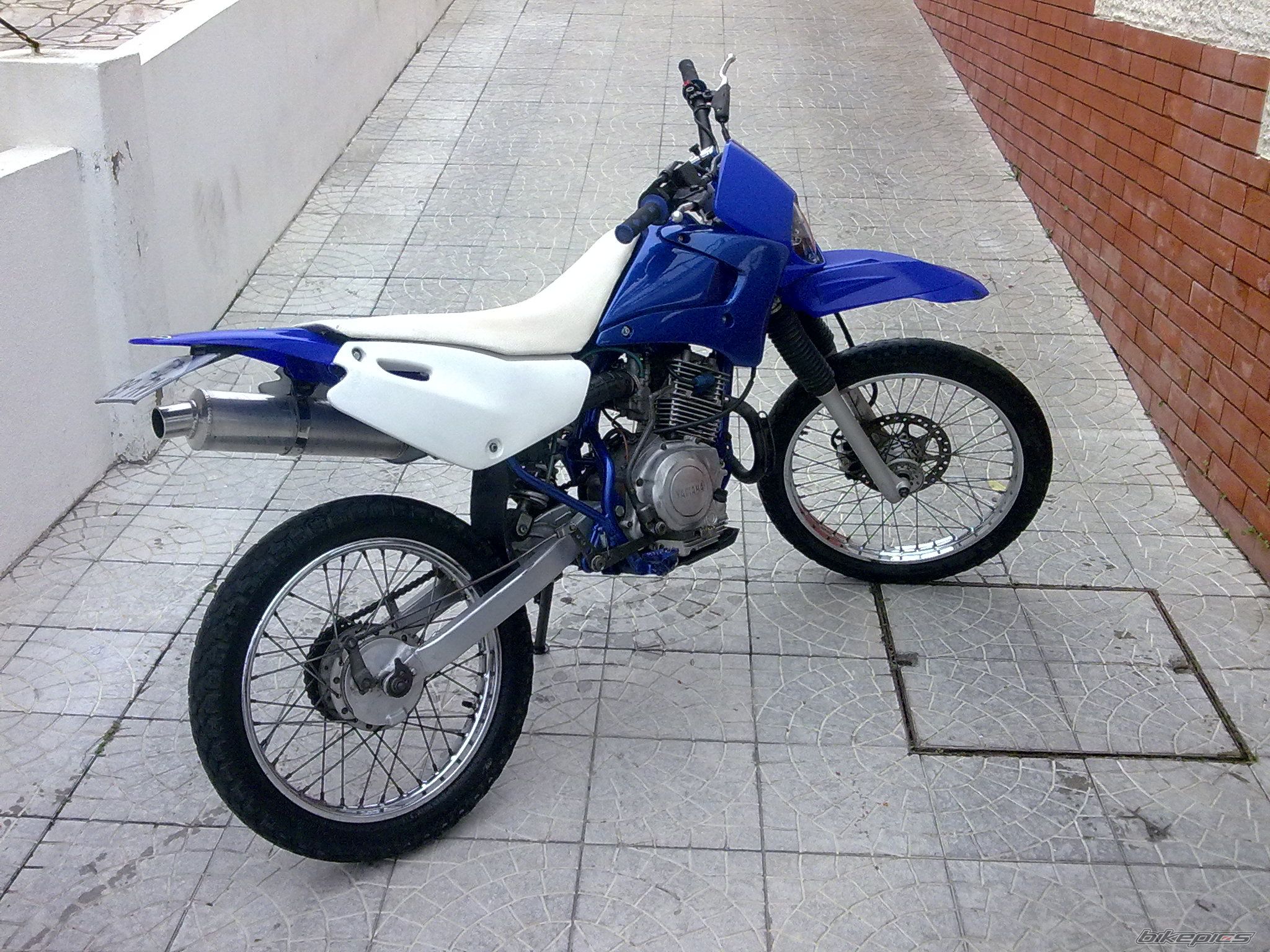 Photo 1878867