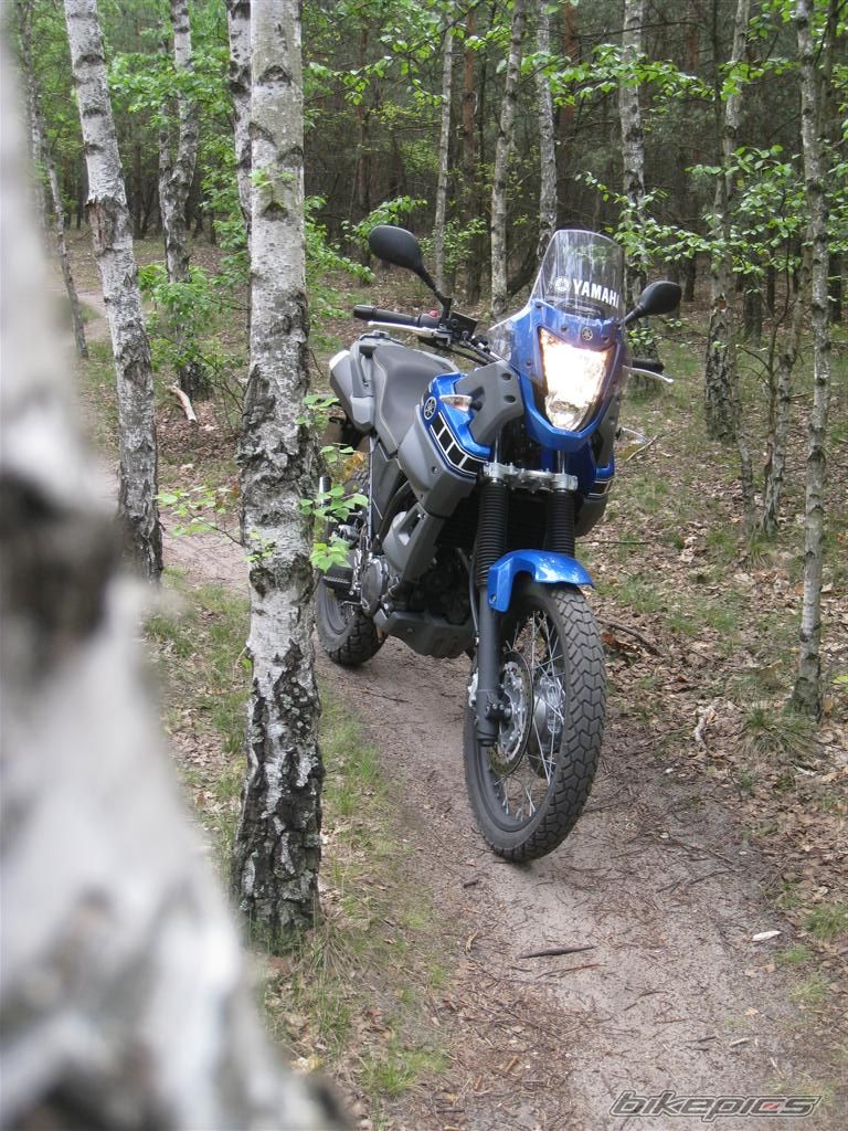 Bike Photo 1879035