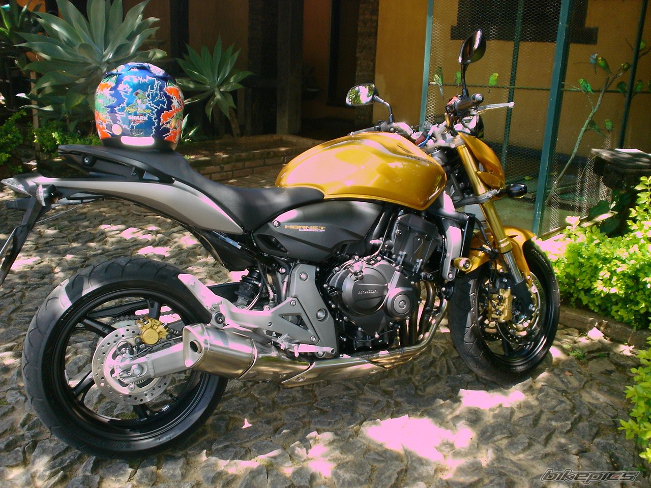 Bike Photo 1879076