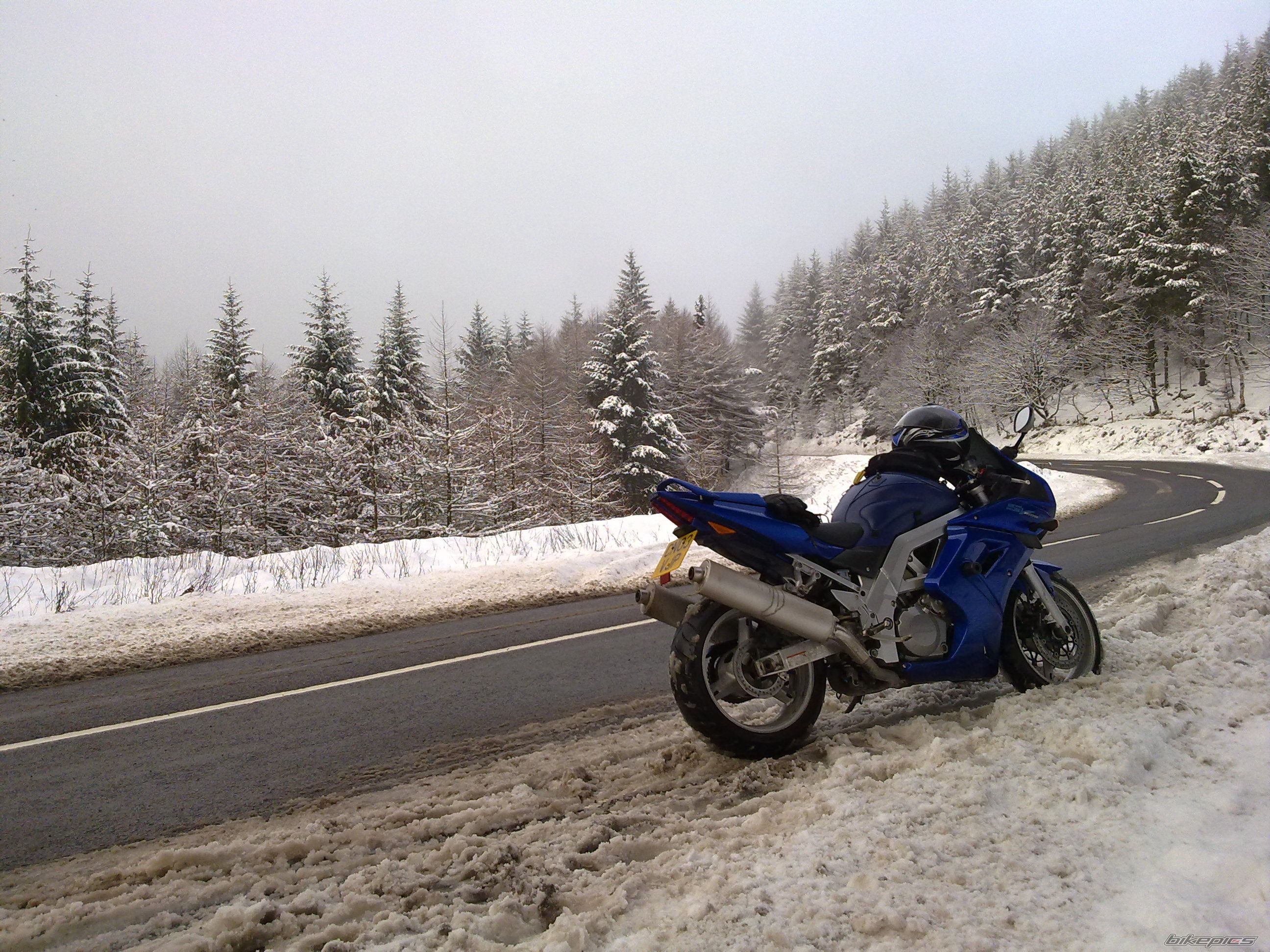Photo 1879452