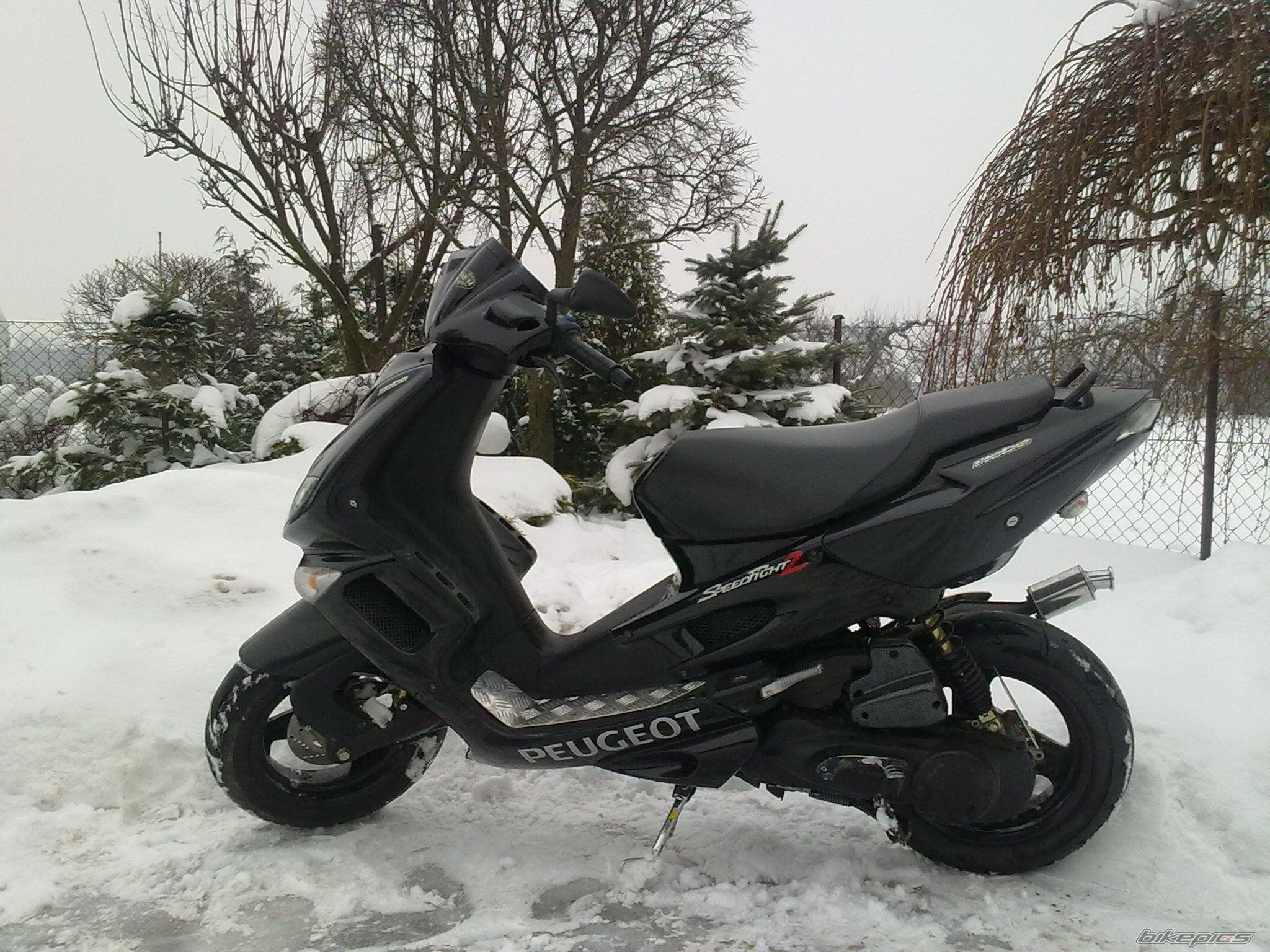 Photo 1879764