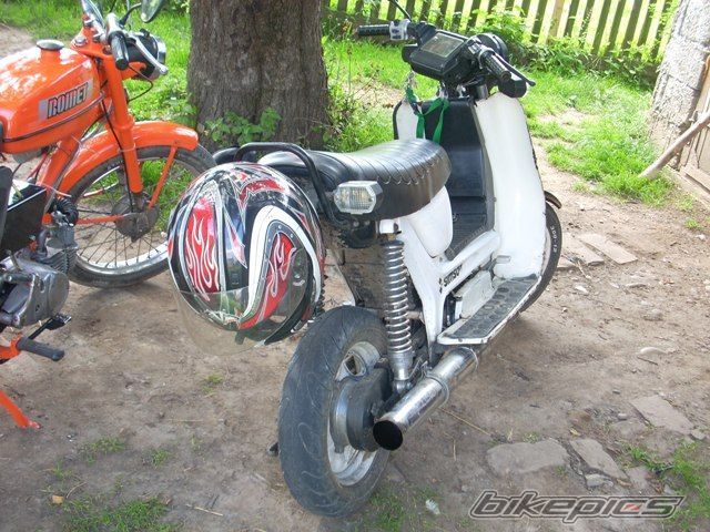 Photo 1880002