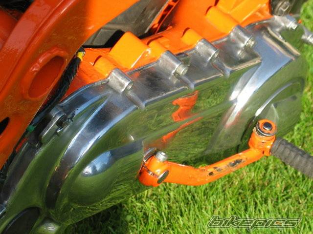 Photo 188031