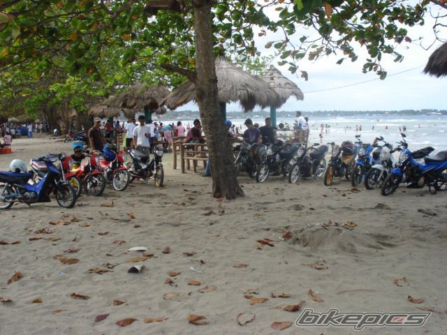 Photo 1880375