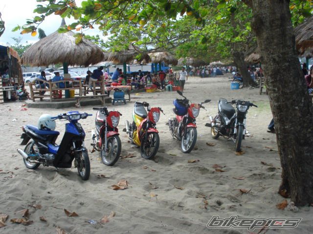 Photo 1880378