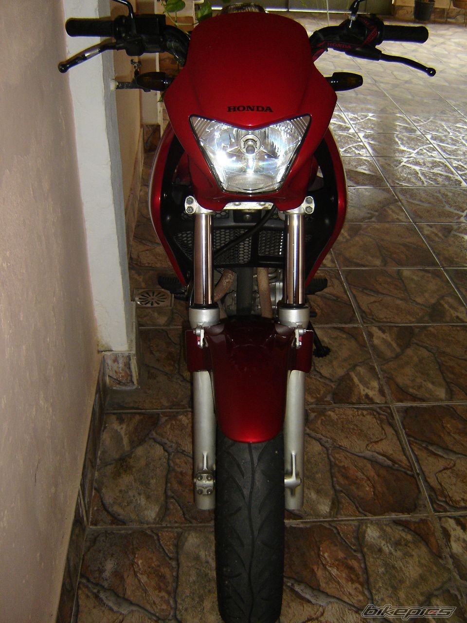 Photo 1880676