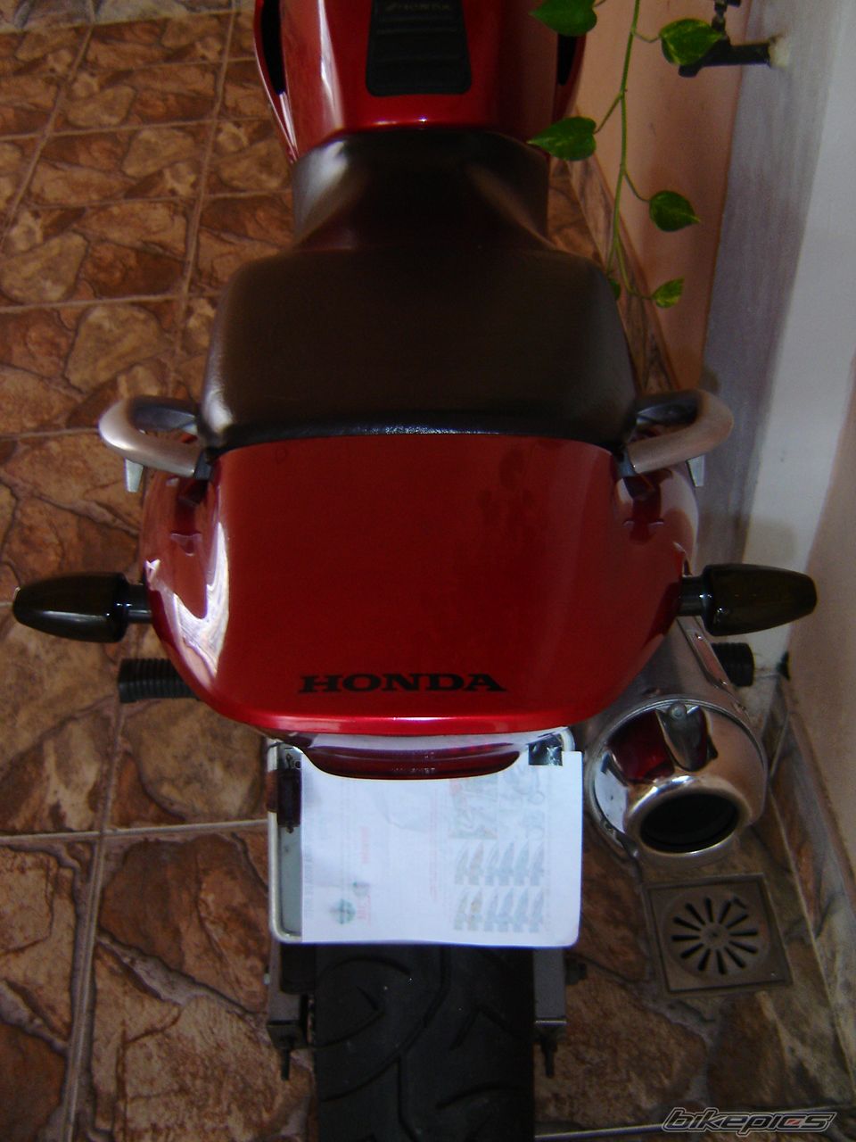 Photo 1880678