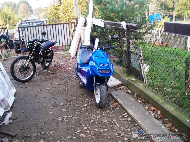 Photo 1880786