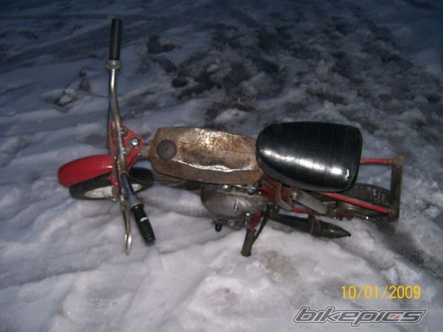 Photo 1881270