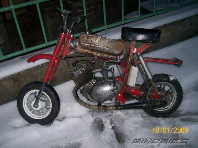 Photo 1881271