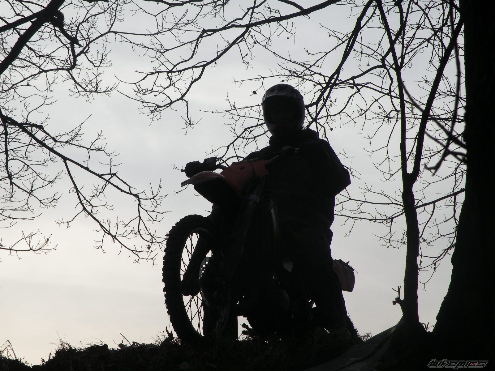 Photo 1881394