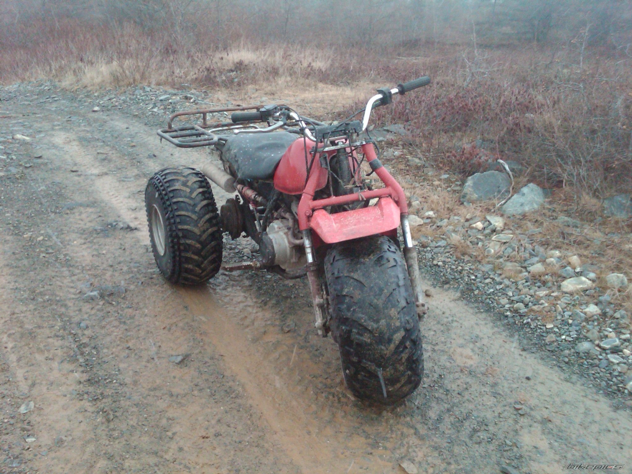 Photo 1881473