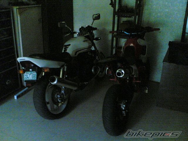 Photo 1881681