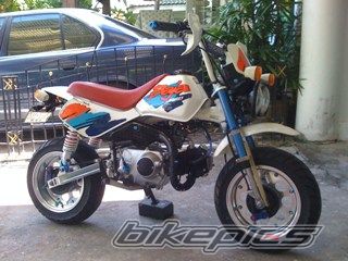 Photo 1881836