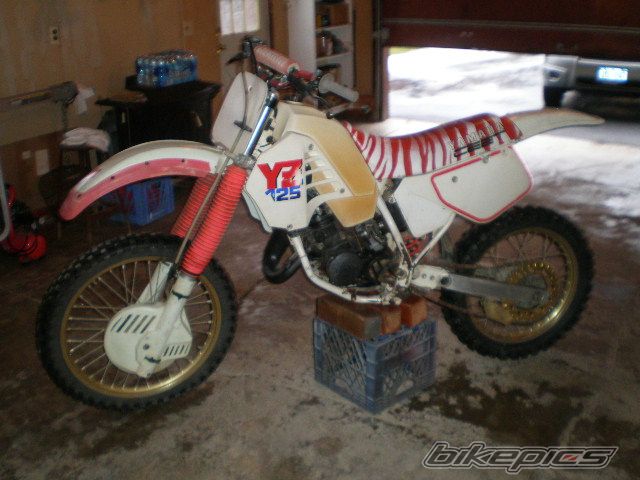 Photo 1881858