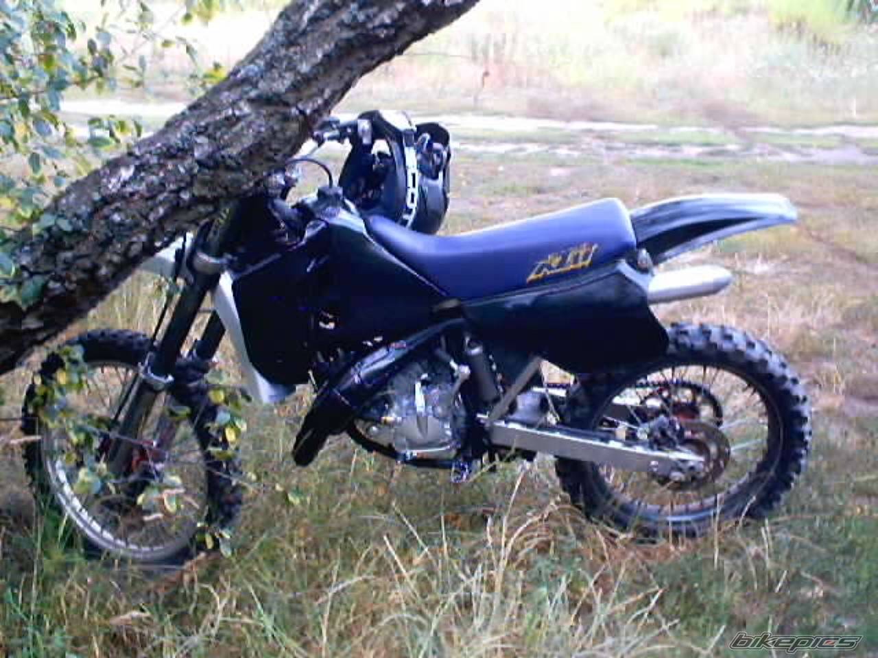 Photo 188191