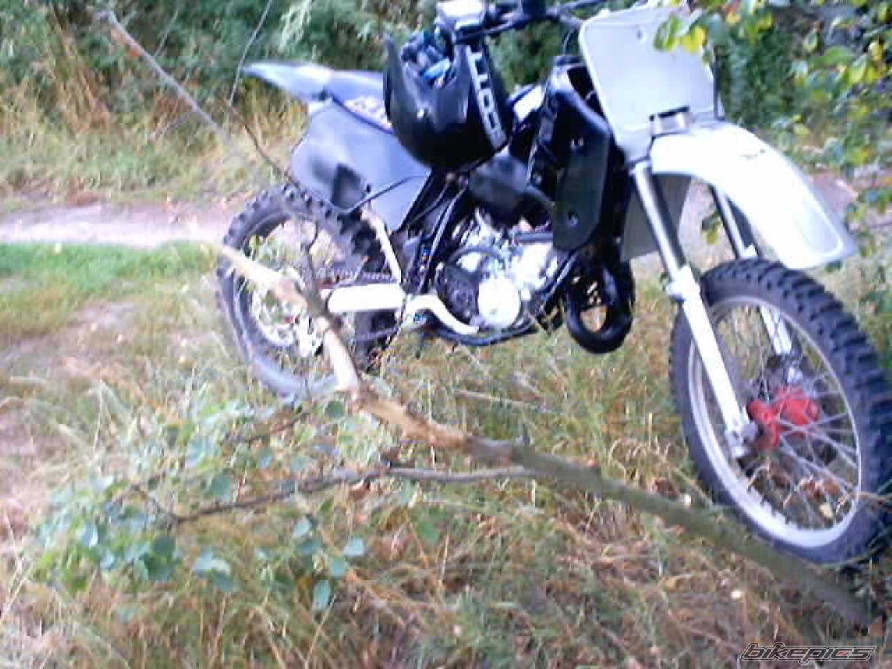 Photo 188193