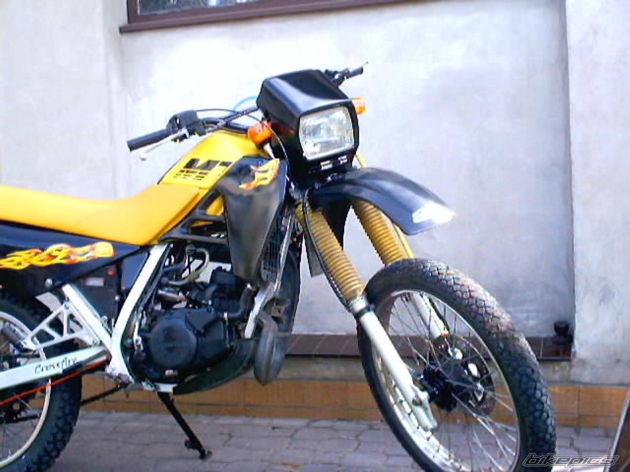 Photo 188195