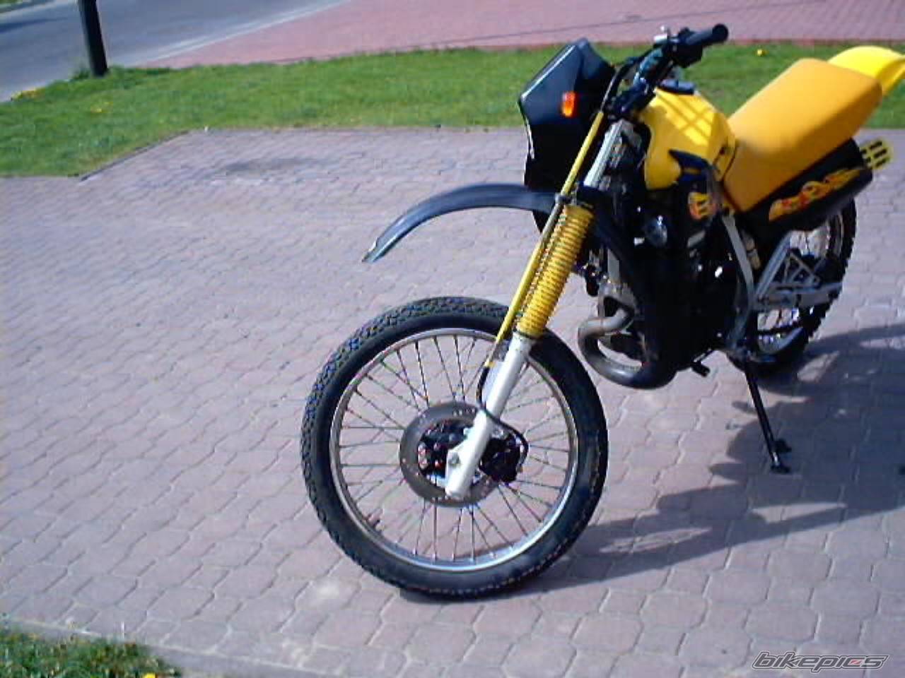 Photo 188199