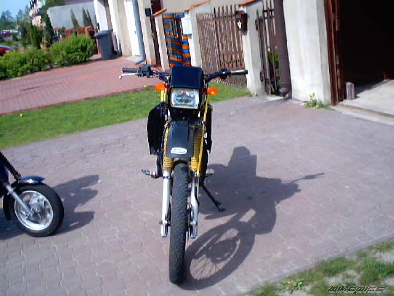 Photo 188202