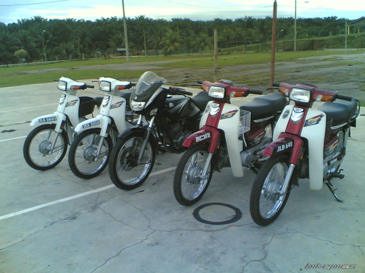 Photo 1882285