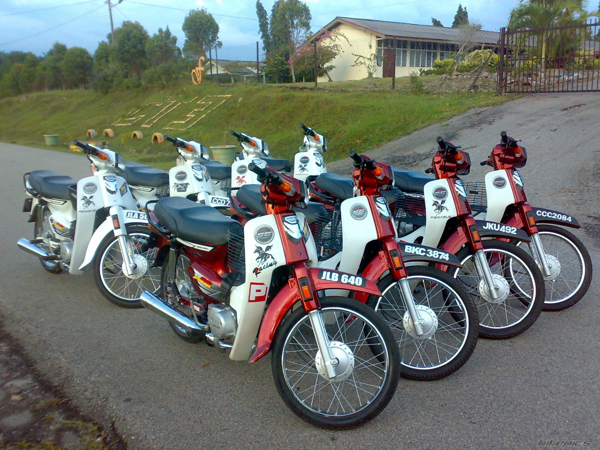 Photo 1882287