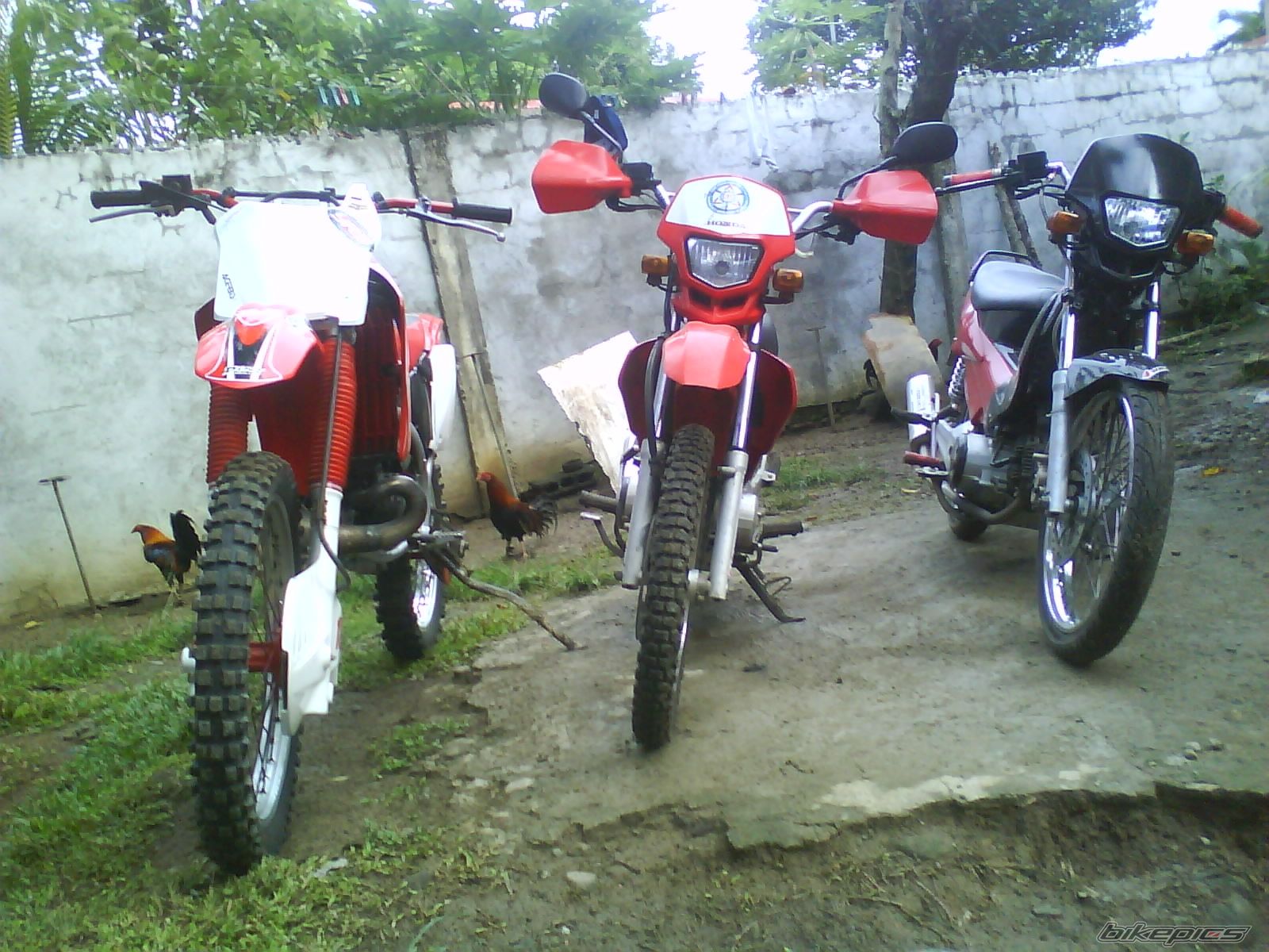 Bike Photo 1882692