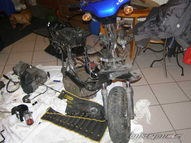 Photo 1883781