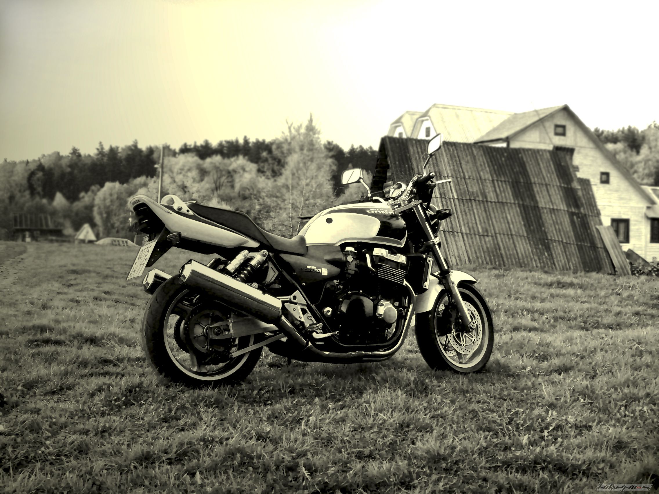 Photo 1884065