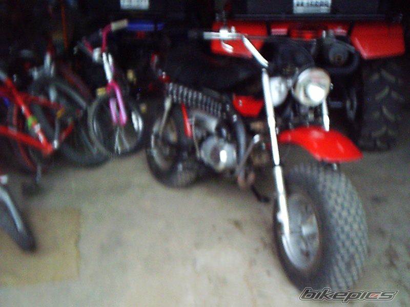 Photo 1884311