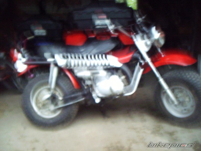 Photo 1884317