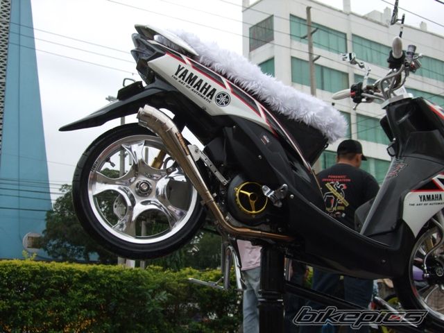 Photo 1884458
