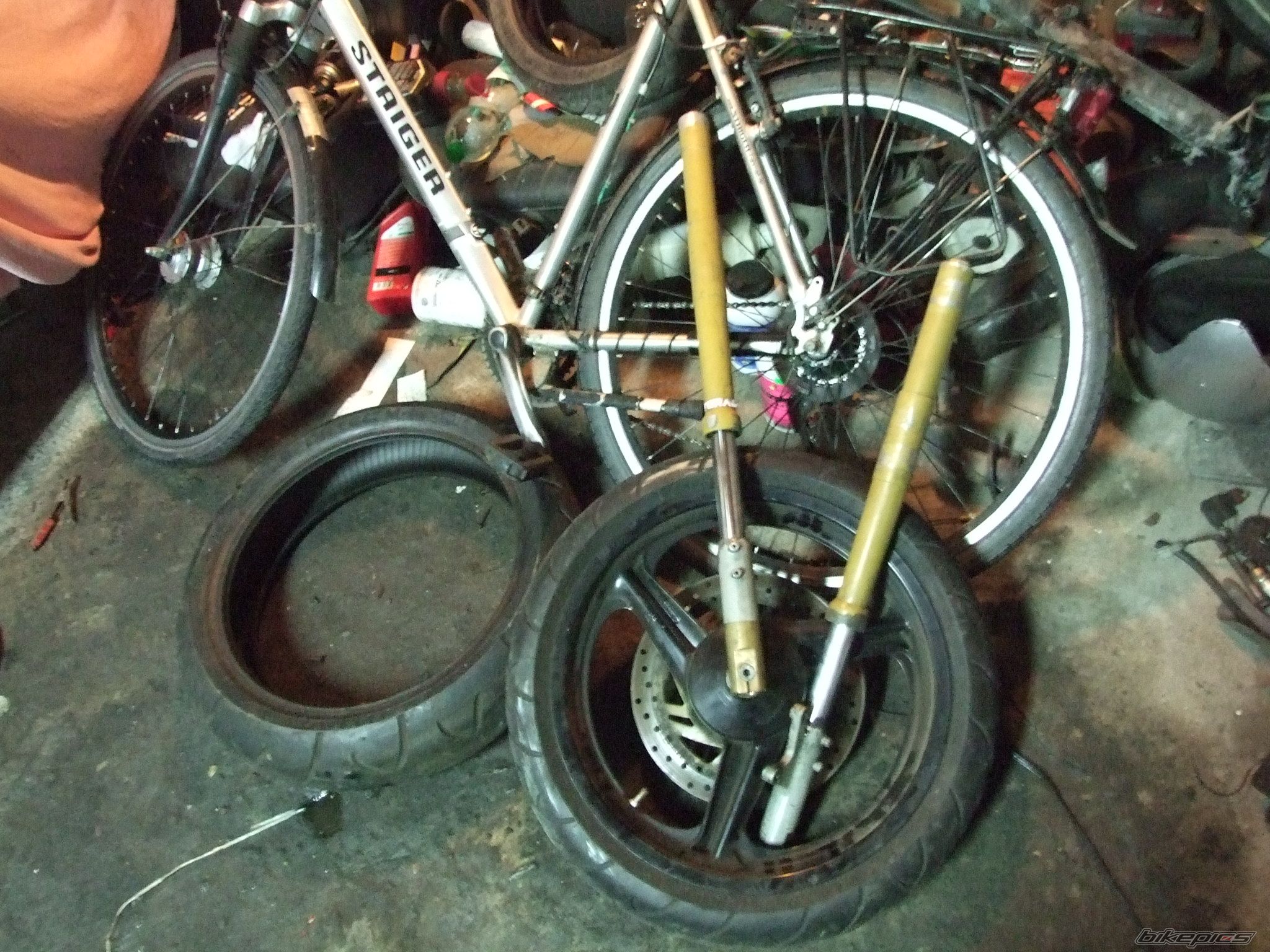 Photo 1884561