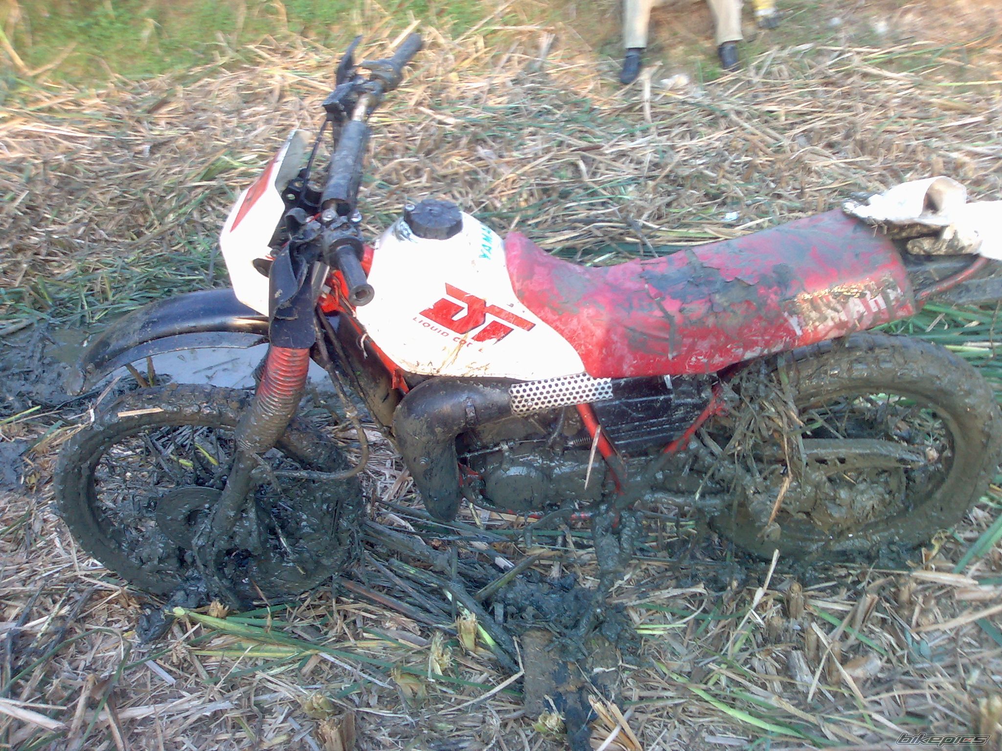 Bike Photo 1884839