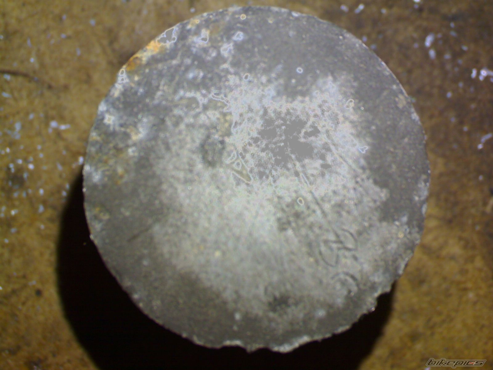 Photo 1885182