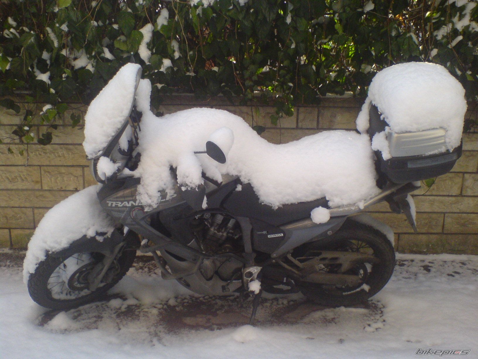 Bike Photo 1886394