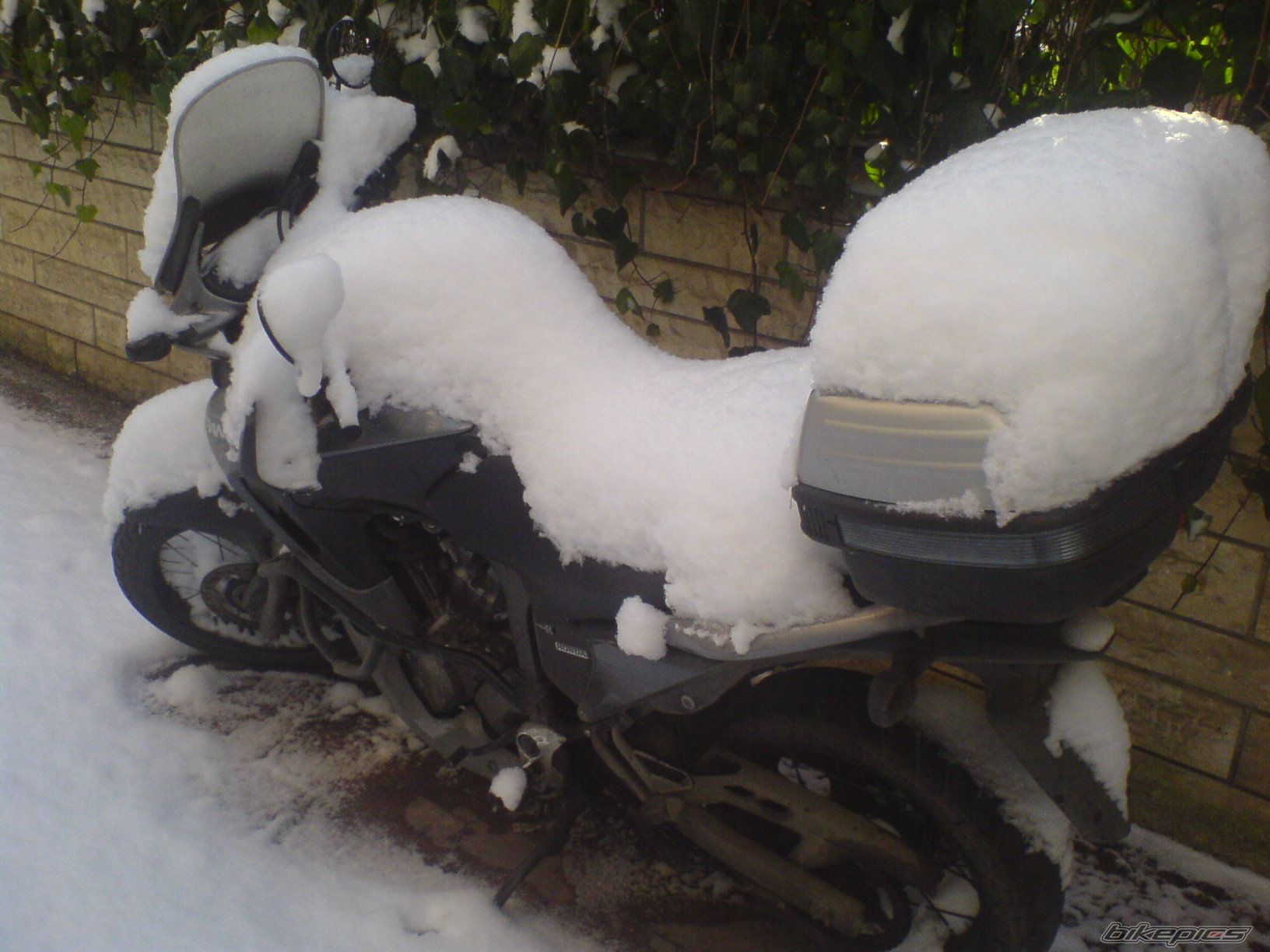 Bike Photo 1886396