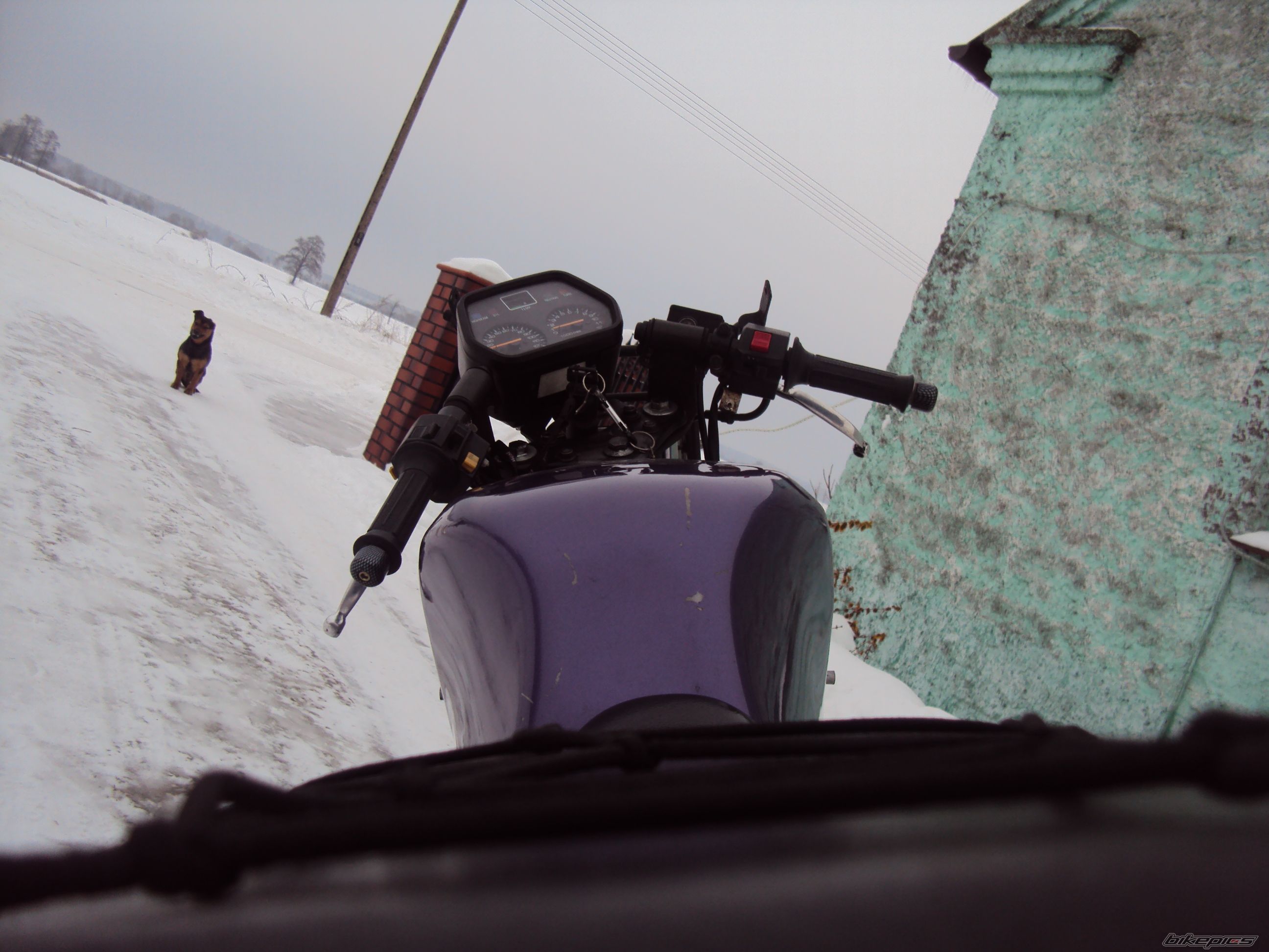 Photo 1886440