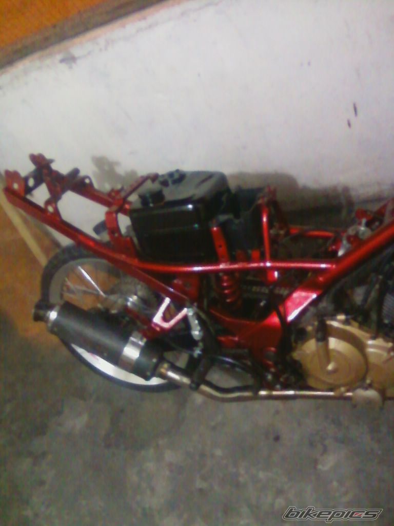 Photo 1886538