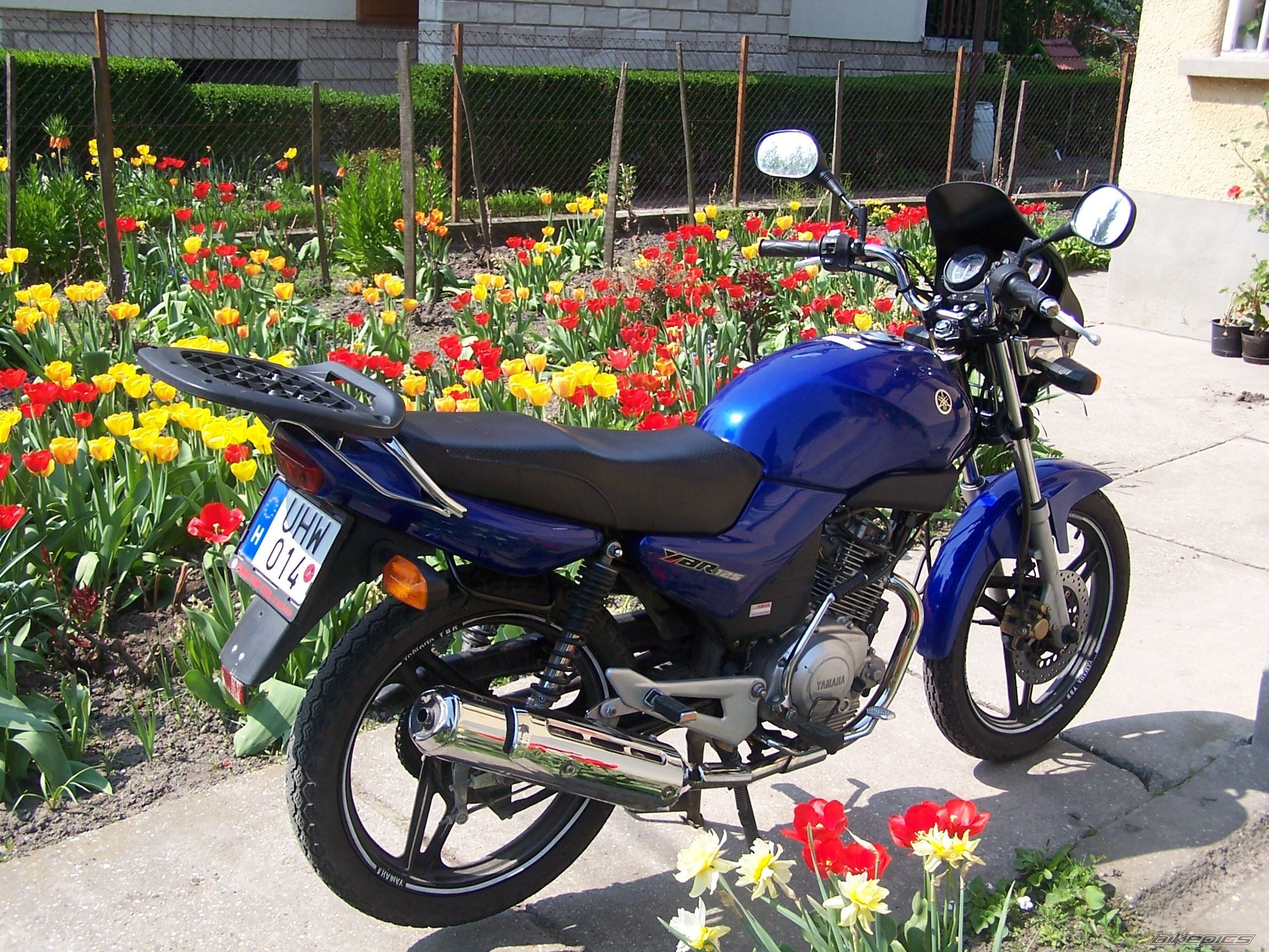 Bike Photo 1886726