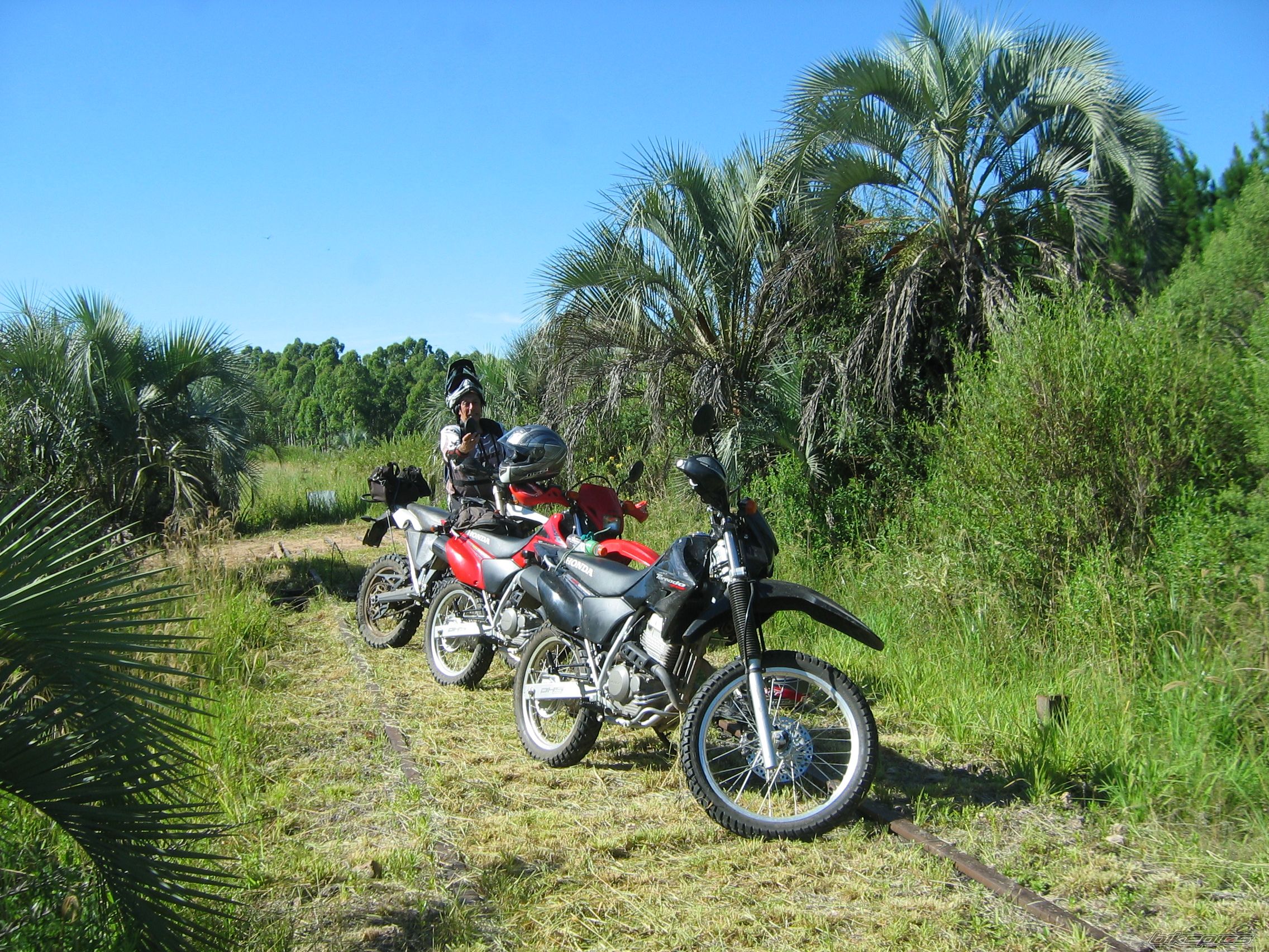 Bike Photo 1886868