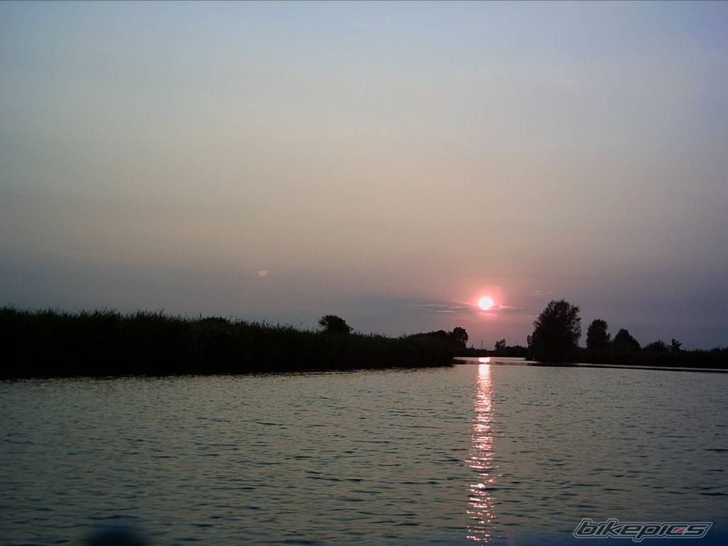 Photo 188687